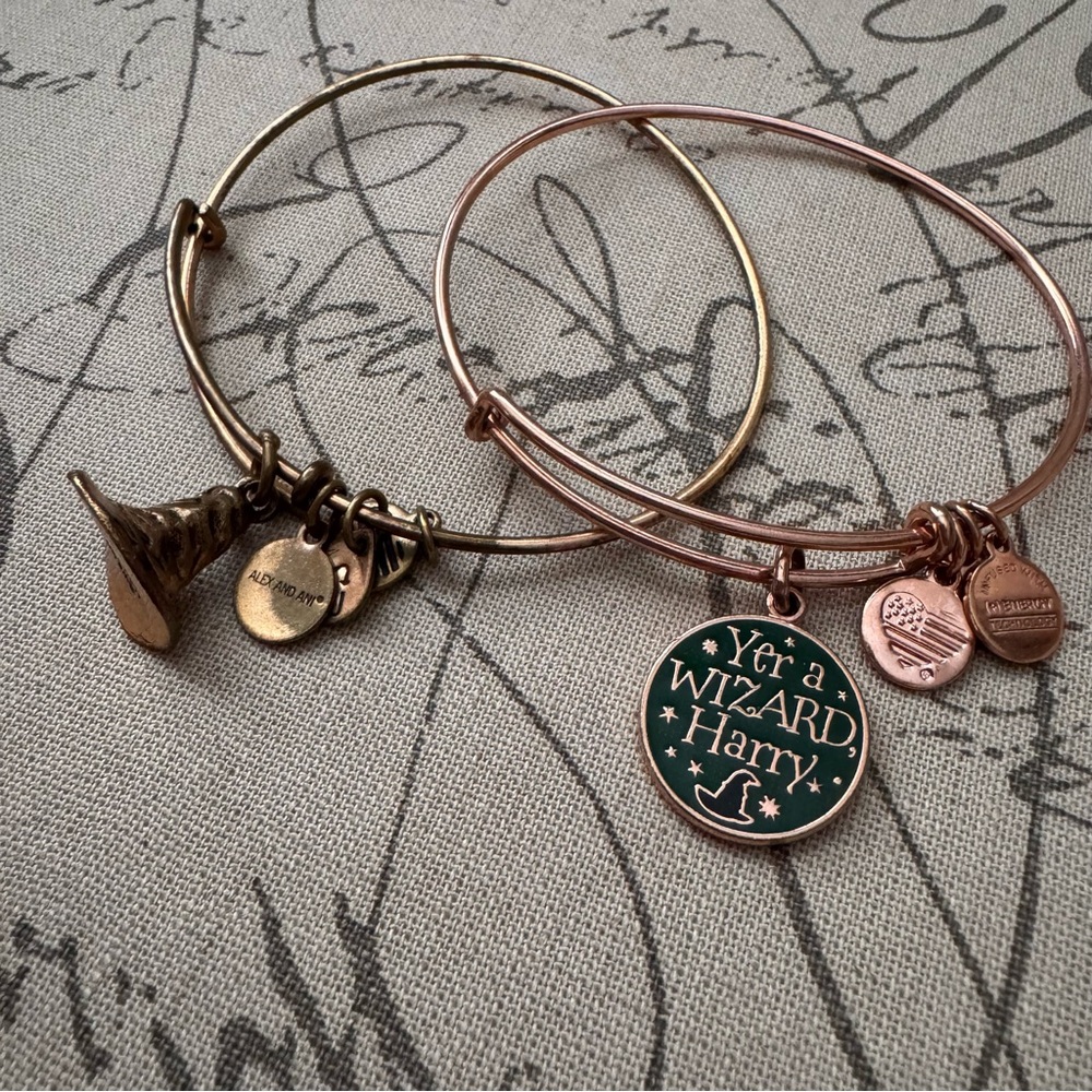 Alex and Ani Harry Potter Charm Bracelets